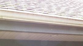 gutter cleaning before