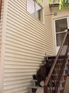 Powerwashing vinyl siding after
